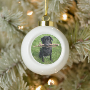 Dog Pet Persoonlijke naam en foto Keramische Bal Ornament