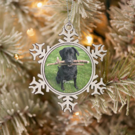 Dog Pet Persoonlijke naam en foto Tin Sneeuwvlok Ornament