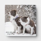 Dog Pet Photo Keepomwille Fotoplaat (Voorkant)