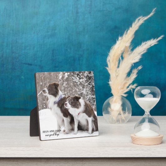 Dog Pet Photo Keepomwille Fotoplaat (Insitu)