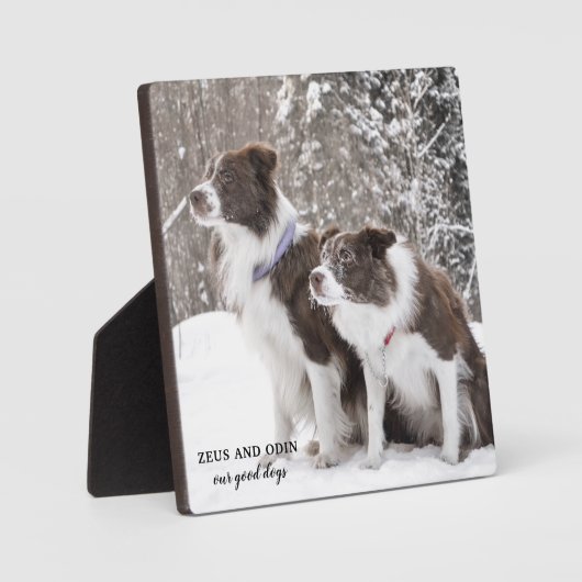 Dog Pet Photo Keepomwille Fotoplaat (Voorkant)