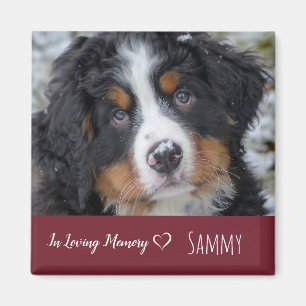 Dog Pet Photo Memorial - Pet Loss Sympathie Quote Magneet