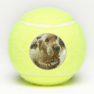 Dog Pet Photo Name Playtoy Tennisballen