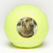 Dog Pet Photo Name Playtoy Tennisballen (Voorkant)