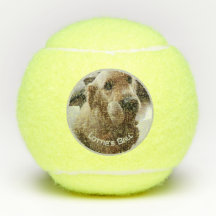 Dog Pet Photo Name Playtoy