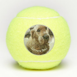 Dog Pet Photo Name Playtoy Tennisballen