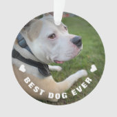 Dog Pet Poem Foto Blue Memorial Keepslag Ornament (voorkant)