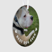 Dog Pet Poem Foto Paars Memorial Keepslag Ornament (voorkant)
