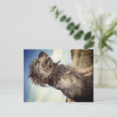 Dog Photo Briefkaart (Staand voorkant)