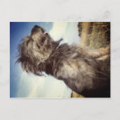 Dog Photo Briefkaart (Voorkant)