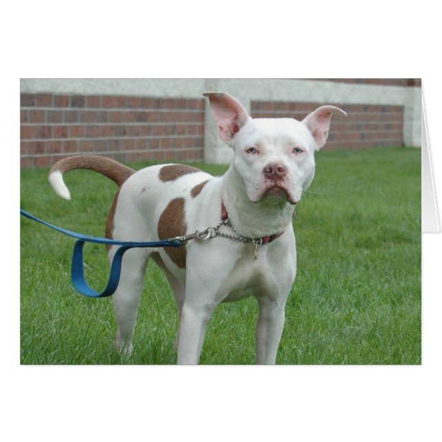 Dog Photo Card - Jersey (Voorkant Horizontaal)