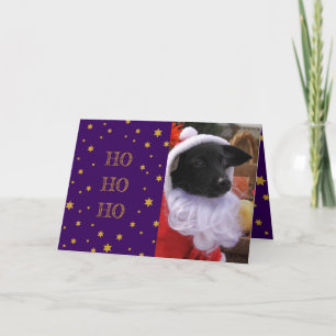 Dog Photo Christmas Kaart of voeg je eigen dierenf