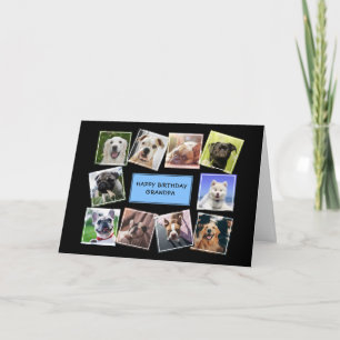 Dog Photo Collage Blue Birthday Card Kaart
