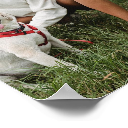 Dog Photo Collage Monogrammed Poster (Hoek)