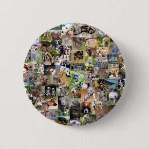 Dog Photo Collage Ronde Button 5,7 Cm