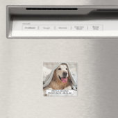 Dog Photo Custom Business Magnet (Insitu (Vaatwasser))