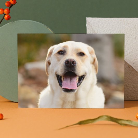 Dog Photo Feestdagenkaart
