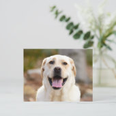 Dog Photo Feestdagenkaart (Staand voorkant)
