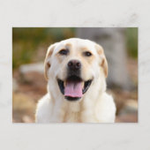 Dog Photo Feestdagenkaart (Voorkant)