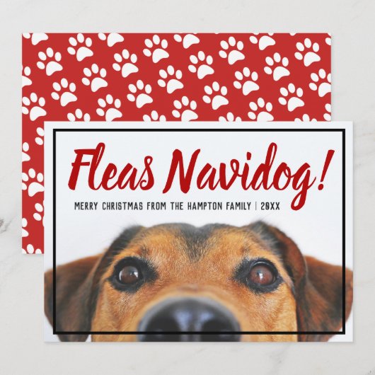 Dog Photo Funny Feliz Navidad-kerstfoto Feestdagenkaart (Voorkant / Achterkant)