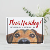 Dog Photo Funny Feliz Navidad-kerstfoto Feestdagenkaart (Staand voorkant)
