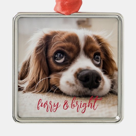 Dog Photo Furry and Bright Kerstmis Metalen Ornament (Voorkant)