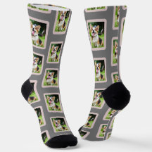 Dog Photo Lover Fun Socks