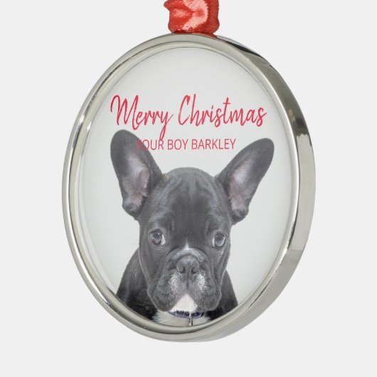 Dog Photo Merry Kerstmis Je jongen of meisje Metalen Ornament (Links)