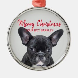 Dog Photo Merry Kerstmis Je jongen of meisje Metalen Ornament