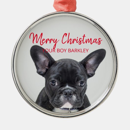 Dog Photo Merry Kerstmis Je jongen of meisje Metalen Ornament (Voorkant)