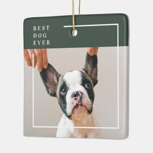 Dog Photo Ornament | Best Dog Ever Modern (Links)
