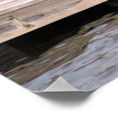 Dog Photo Poster (Hoek)