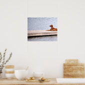Dog Photo Poster (Keuken)