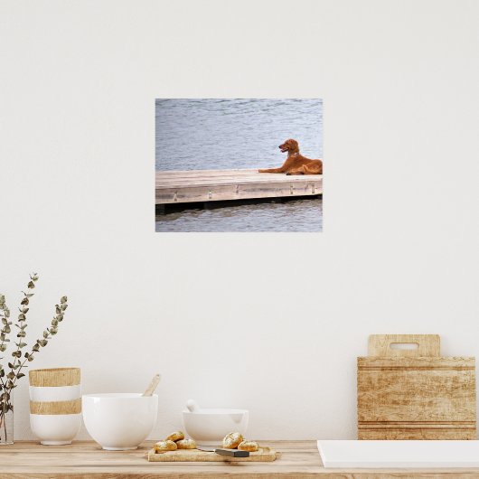 Dog Photo Poster (Keuken)