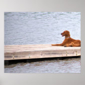 Dog Photo Poster (Voorkant)