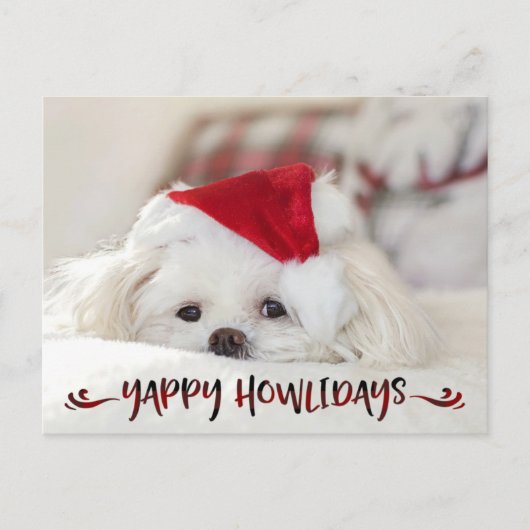 Dog Photo Red Buffalo Check Script YAPPY HOWLIDAYS Feestdagenkaart (Voorkant)