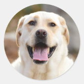 Dog Photo Ronde Sticker (Voorkant)