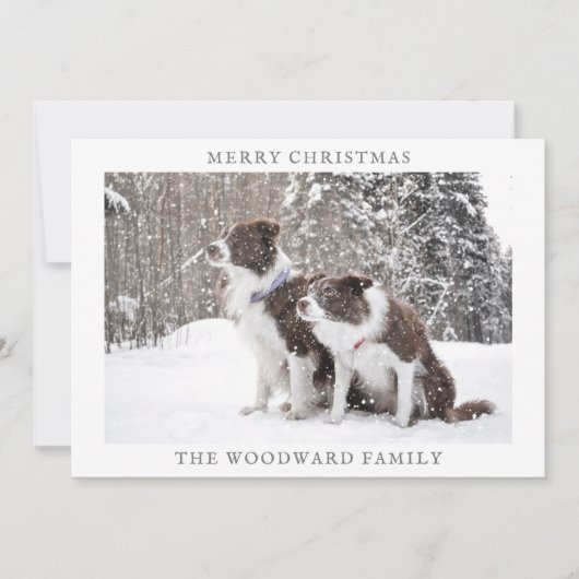 Dog Photo Snow Kerstfeestdag Feestdagenkaart (Voorkant)