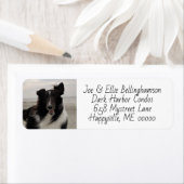 Dog Photo Template Return Label (Insitu)