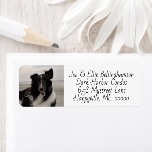 Dog Photo Template Return Label (Insitu)