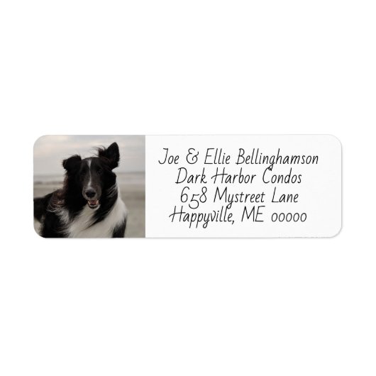Dog Photo Template Return Label (Voorkant)