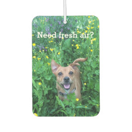 Dog Photography personalized Air Freshener Luchtverfrisser