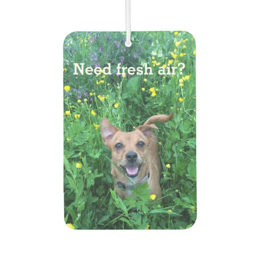 Dog Photography personalized Air Freshener Luchtverfrisser (Voorkant)