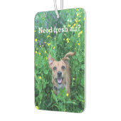Dog Photography personalized Air Freshener Luchtverfrisser (Links)