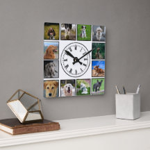 Dog Photos Collage op witte achtergrond