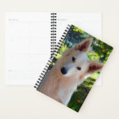 Dog Planner (Display)