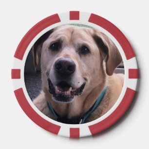 Dog Poker Chips