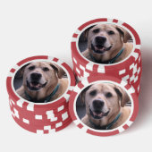 Dog Poker Chips (Opstapeling)