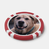 Dog Poker Chips (Enkel)
