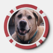 Dog Poker Chips (Achterkant)